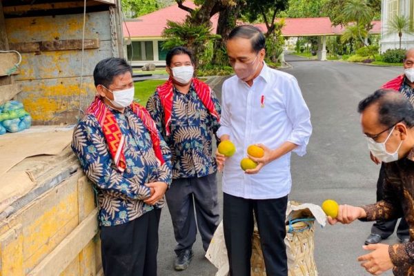 Jokowi Terima Jeruk