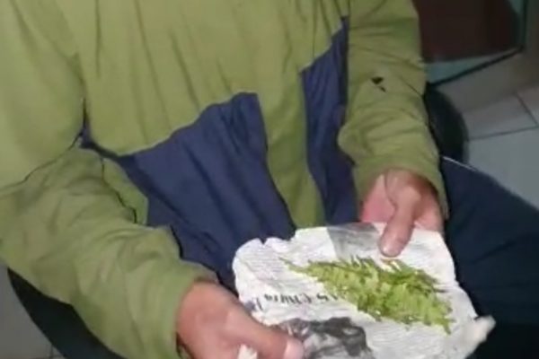 Beli Ganja